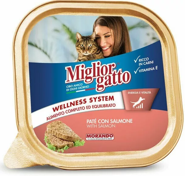 MIGLIOR GATTO PATE MIGLIOR GATTO UMIDO PATE DI SALMONE PER GATTI VASCHETTA 100g