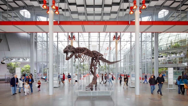 California Academy of Science Tickets(Can specify the date to visit)