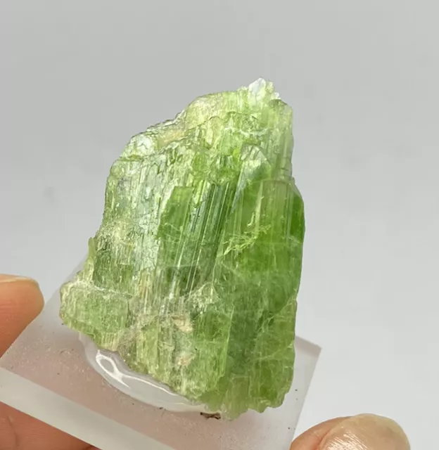 CHROM TREMOLITH Roh Kristall (9.4gr) Tremolit / Chrome Tremolite rough