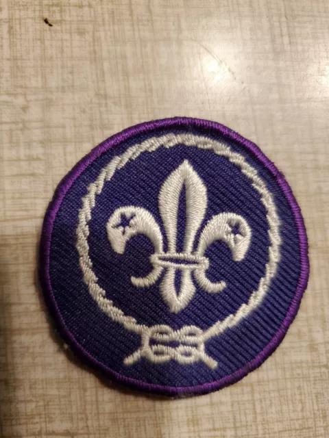 Boy Scouts of America - World Scouting Crest Patch - Cub, Webelo, Venturing BSA