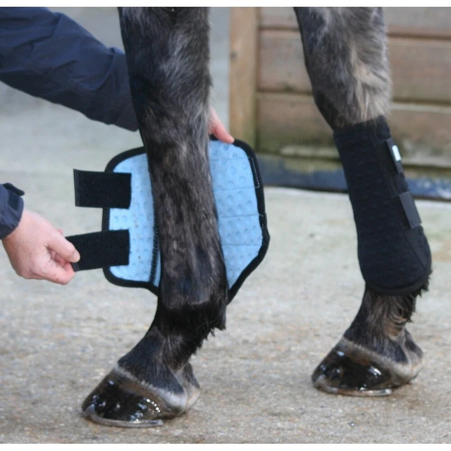 Equilibrium Stretch and Flex Flatwork Wraps 5