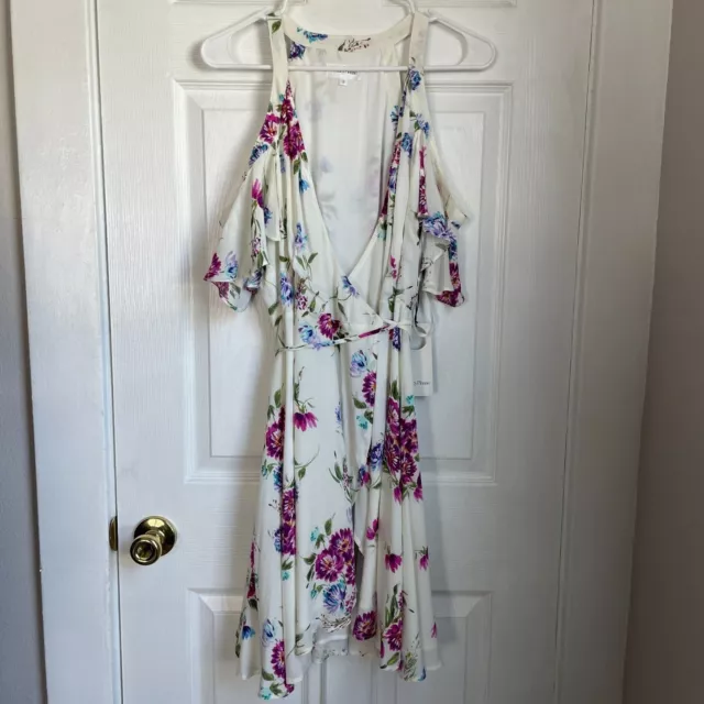 NWT Revolve Privacy Place Delta Dress in Ivory Maddie Floral