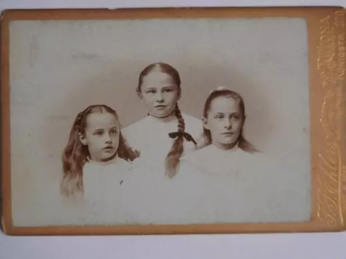 Fotografie 3 Mädchen Junge Mode AtelierEhlers Altona 1894 (ca.11x16cm) -I Vitali