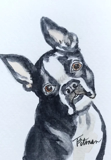 ACEO ATC  original Watercolor “Boston Terrier 2”