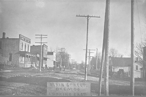 Street View Okemos Michigan MI Reprint Postcard