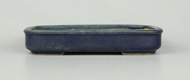 Bonsai Pot Tokoname Watanabe Ikko Glazed Rectangular Width 16 cm / 6.3 in.