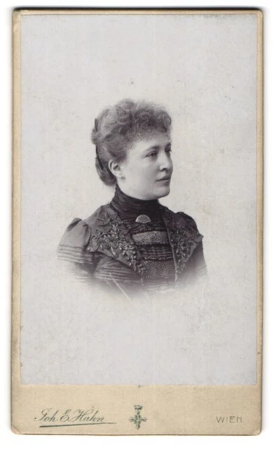 Fotografie Joh. E. Hahn, Wien, Mariahilferstrasse 105, Junge Frau mit zeitgenös