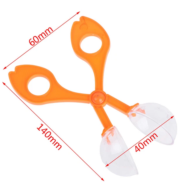 Kit giocattolo esplorazione della natura per bambini bambini scuola piante biologia insetti St*jy