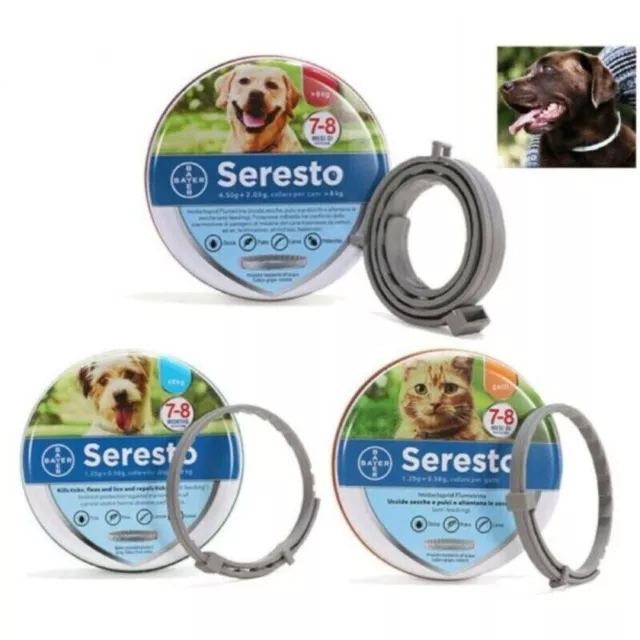 Collar Pulgas y Garrapatas 8 Meses para Mascota Anti Gatos Protección Perro 2