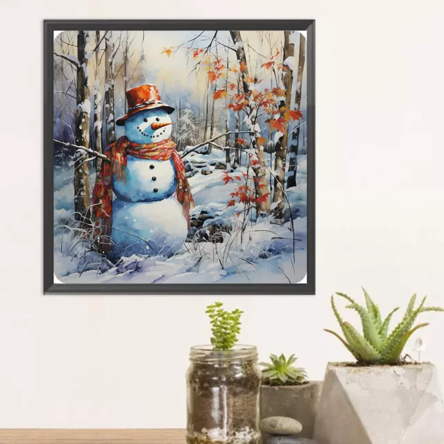 Paint By Numbers Kit DIY Oil Art Snowy Land Picture Home Wall Decor 40x40cm 2
