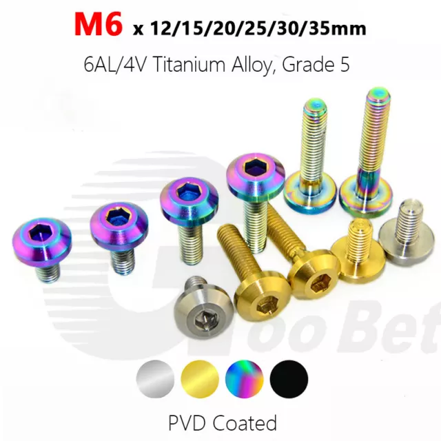 M6 Titanium Brake Disc Bolt Allen Screw 12mm-35mm Grade 5 for Motorcycle Tuning