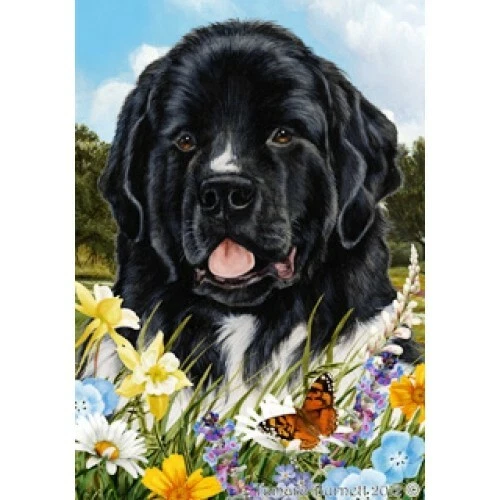 Summer Garden Flag - Landseer Newfoundland 182411