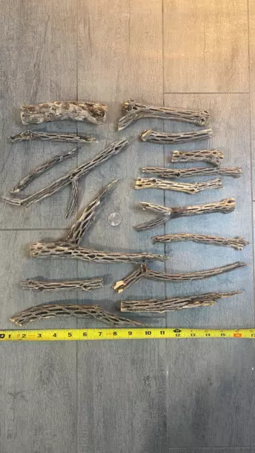 16 Pieces Uniquely Shaped Cholla Wood For Shrimp Aquarium  / Fish Tank Décor