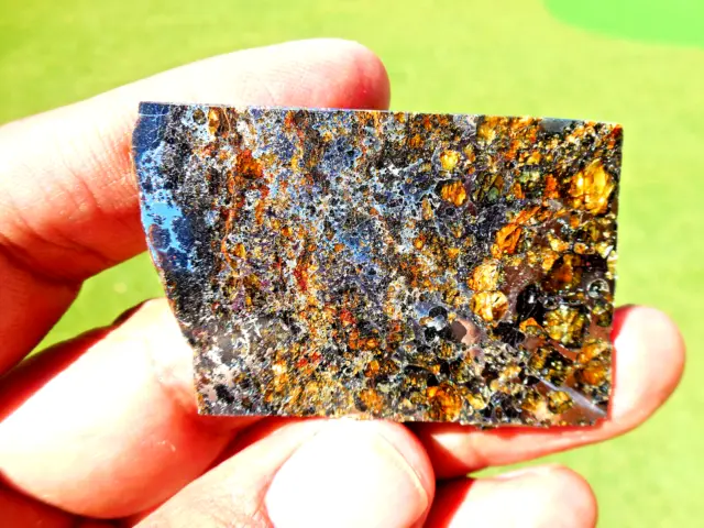 15.98 gram - SEYMCHAN PALLASITE METEORITE Slice - with Beautiful Crystals