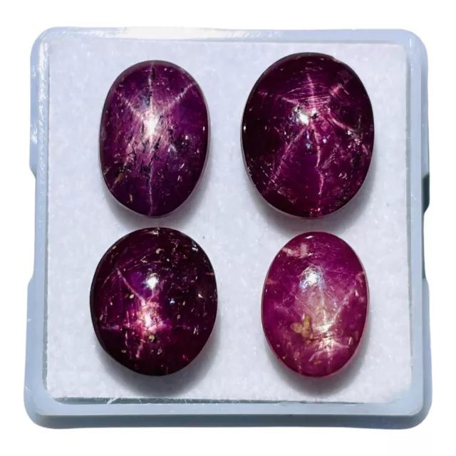 4 Pcs Natural Star Ruby 10-11.5mm Oval Unheated Loose Cabochon Gemstones Lot