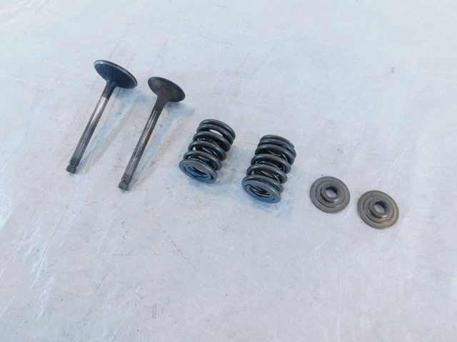 1988-1997 Yamaha Virago 750 XV750 Cylinder Head Intake/Exhaust Valves & Springs