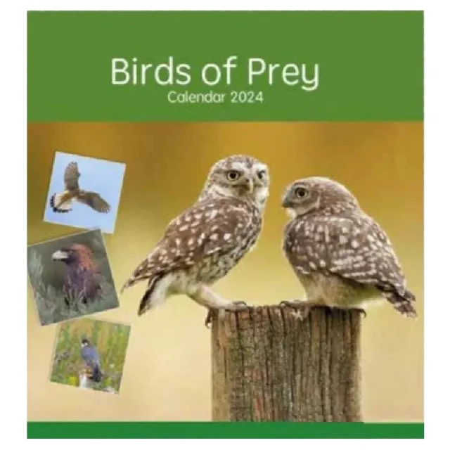 BIRDS OF PREY 2024 Calendar Large Square Wall Calendar Wildlife 28Cm X
