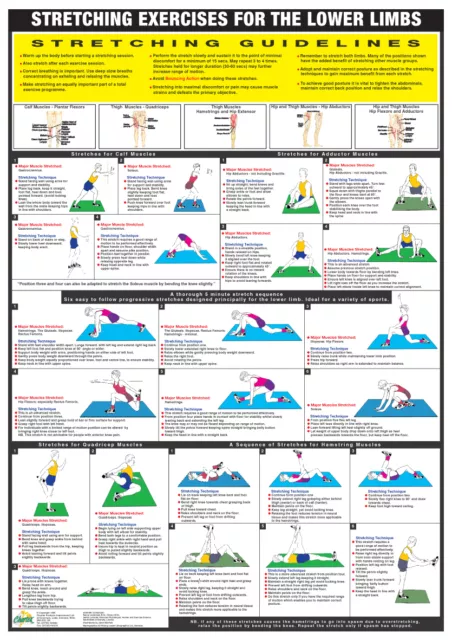 Stretching Übung Poster 3