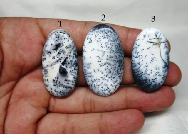 Dendrite ovale cabochon ovale naturel lâche dos plat pierre précieuse G 2243