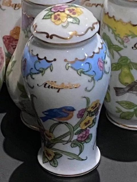 Antique Porcelain German Made Spice Jars with Hand Painted Birds - Set –  Fluffernutter Vintage