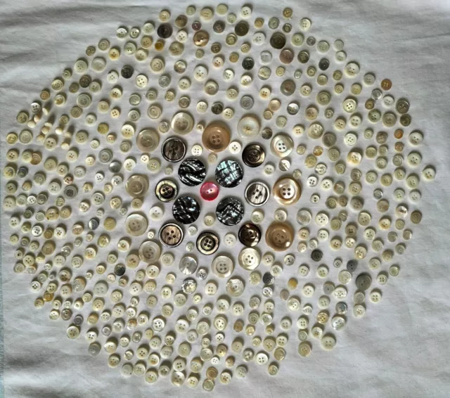 Ensemble De Boutons Anciens En Nacre