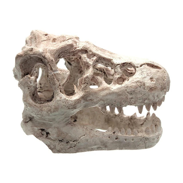 Aquarium Dinosaure Crâne Décoration Reptiles Cachette Squelette Trou