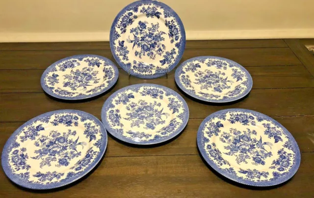 6 Royal Stafford Asiatic Pheasant Dark Blue White Dinner Plates New SET