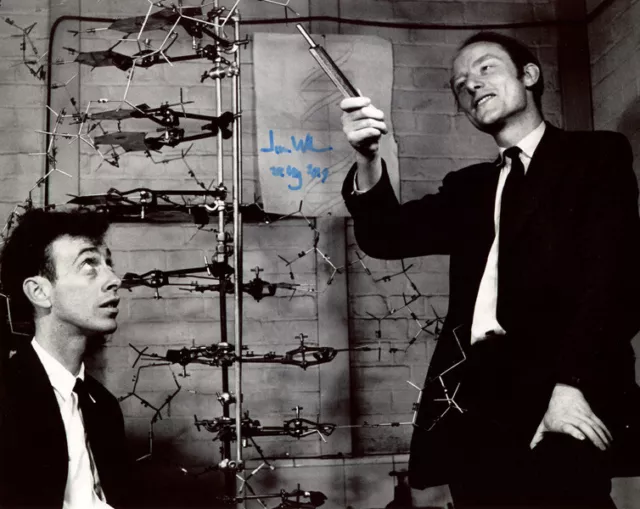 JIM JAMES D WATSON SIGNED 8x10 PHOTO NOBEL PRIZE DOUBLE HELIX DNA STRAND BECKETT