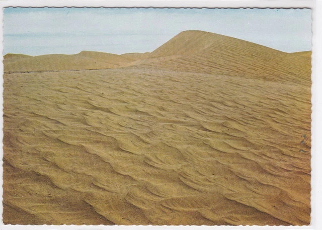 Cpsm Color Postcard Maroc Picturesque Dunes A M'hamid