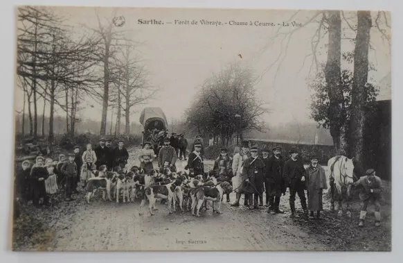 CPA. Forêt de Vibraye- Chasse à courre - la Vue.