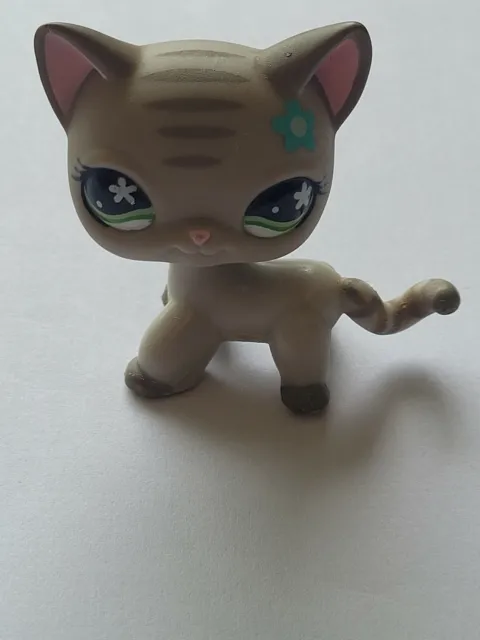 Lps # 483 Littlest Petshop Original Authentic Chat Europeen European Cat Hasbro