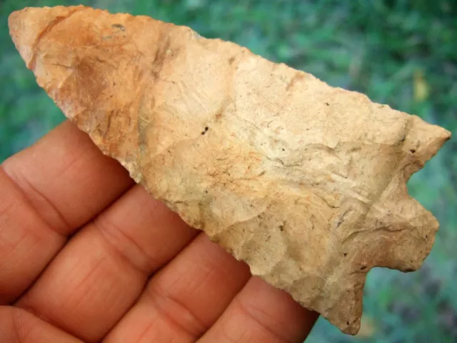 Super Fine Colorful 4 inch Florida Newnan Point with COA Arrowheads Artifacts