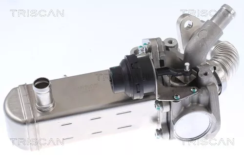 Aspiration des gaz d'échappement TRISCAN 8813 14031 pour NISSAN