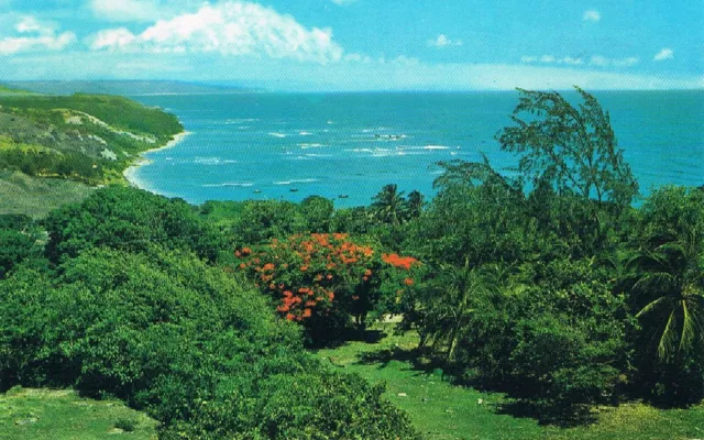 Postcard Insel Barbados Island Karibik Caribbean Antillen Antilles East Coast WI