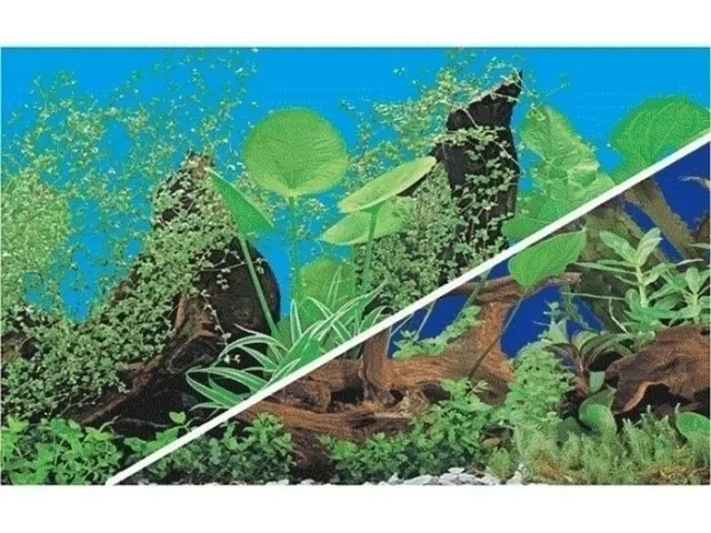 poster fond d aquarium decor plantes double face 150cm x50cm 3