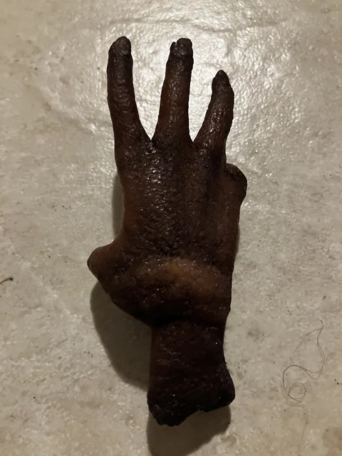 “Cursed” Monkey's Paw / Monkey Hand Prop Replica Hand-Made novelty 3 Wishes Claw