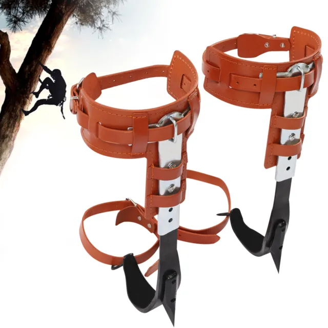 440lbs Tree Climbing Spike Set Safety Belt Gloves Lanyard Rescue Belt Adjustable