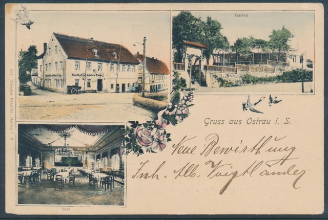 Ansichtskarten Dresden/ Sächsische Schweiz