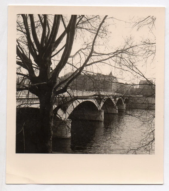 OLD PHOTO France Paris Bridge New Tree Romantic Landscape circa 1950