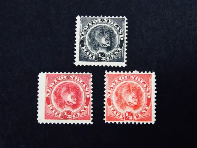 nystamps Canada Newfoundland Stamp # 56-58  Mint OG H $110     A12x410