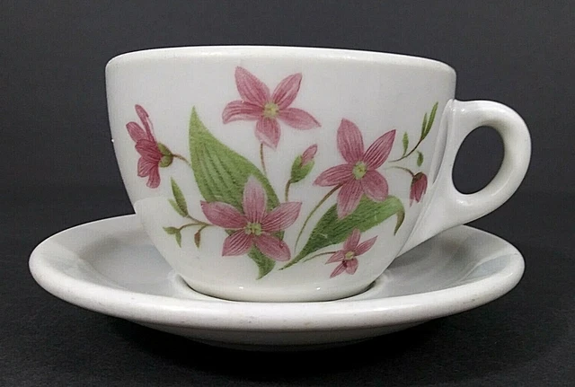 SYRACUSE Great Northern Railroad Mountains & Flowers Pattern Cup & Saucer Set 3