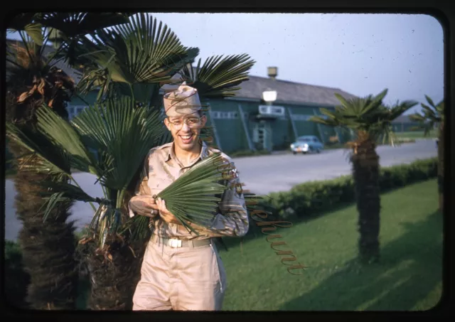 Japan Tokyo Camp Drake Military Man Palm Tree 1950s 35mm Slide Kodachrome