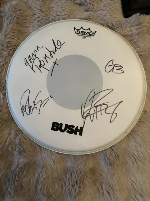 Bush Concert Poster And Drumhead Signed Gavin Rossdale