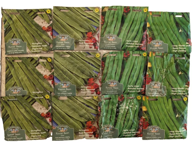 12 Packs - Runner Bean Seeds By Mr Fothergills - Sow By 2024-25