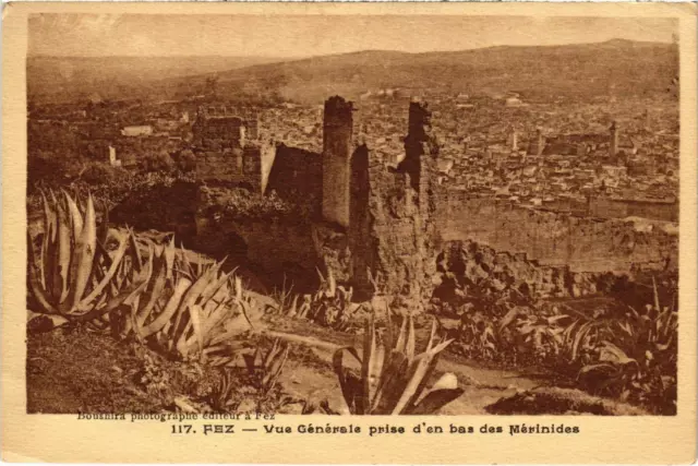 CPA AK MAROC FEZ - Vue générale prise d'en bas des Merinides (92747)