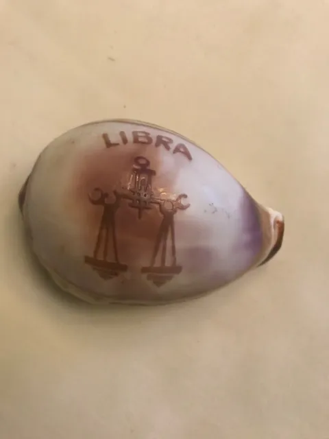 Vintage Tiger Cowrie Carved Shell Zodiac Sign Libra 3"