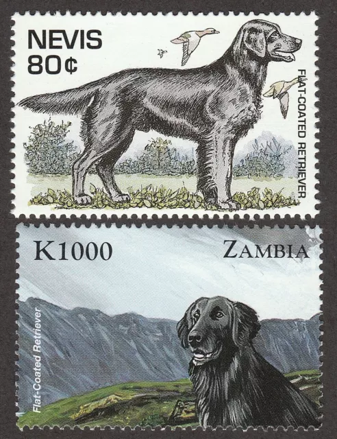 FLAT-COATED RETRIEVER ** Int'l Dog Postage Stamp Collection **Unique Gift Idea**