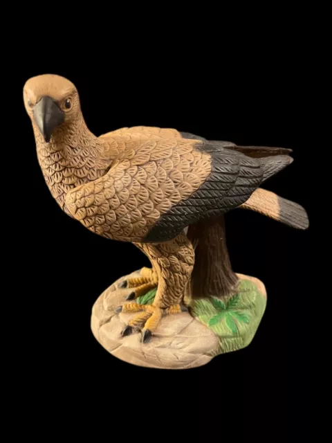 Hawk,Falcon,Bird of Prey Raptor Sculpture Bird Figurine Hand Painted