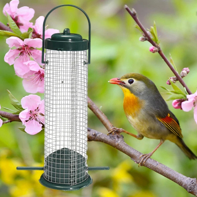 Décoratif Mangeoires D'oiseaux Aliments Pour oiseaux Cintre