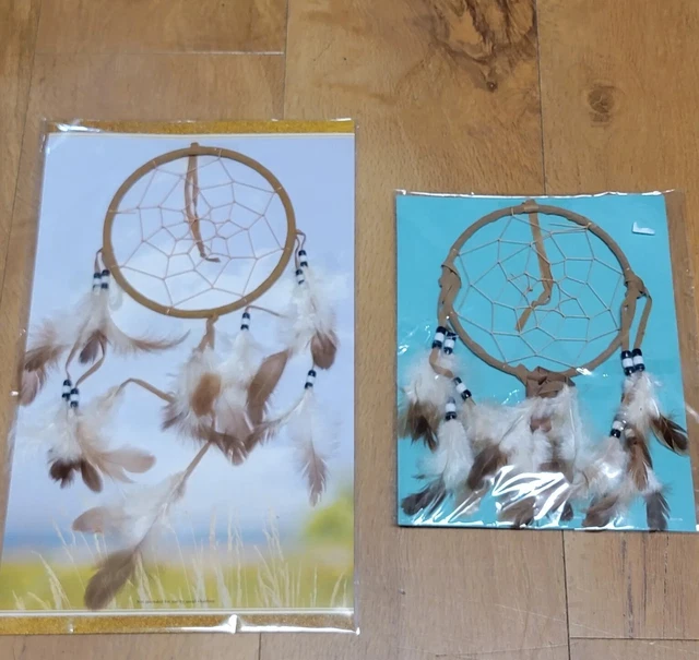 Legend Of The Dreamcatcher St. Joseph's Indian School Lakota Sioux Native 2 NEW